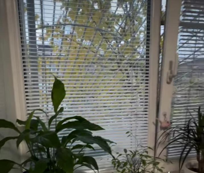 Гостинка, Харьков, Масельского метро, Академика Подгорного