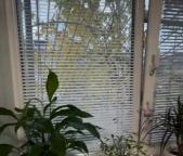 гостинка, Харьков, Масельского метро, Академика Подгорного