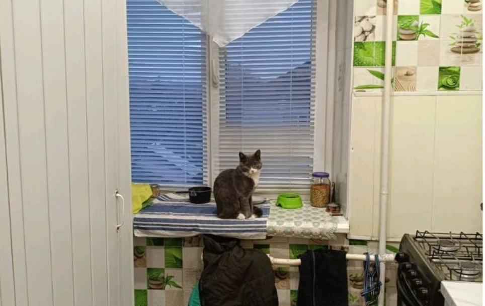 Квартира, 2-кімн., Харьков, Лысая Гора, Новый Быт