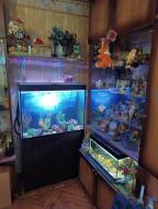 квартира, Харьков, ХТЗ, Архитектора Алешина