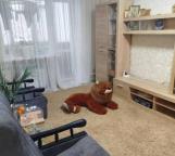 квартира, Харьков, Новые Дома, Харьковских Дивизий