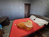 квартира, Харьков, Салтовка, Непокоренных (Героев Труда)