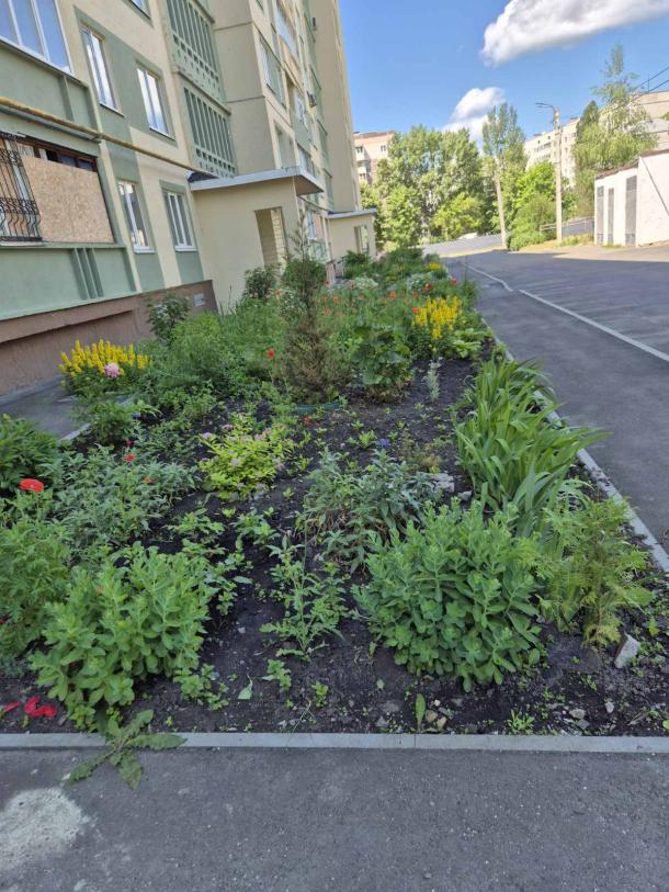 Квартира, 1-кімн., Харьков, 3 Северная Салтовка, Натальи Ужвий