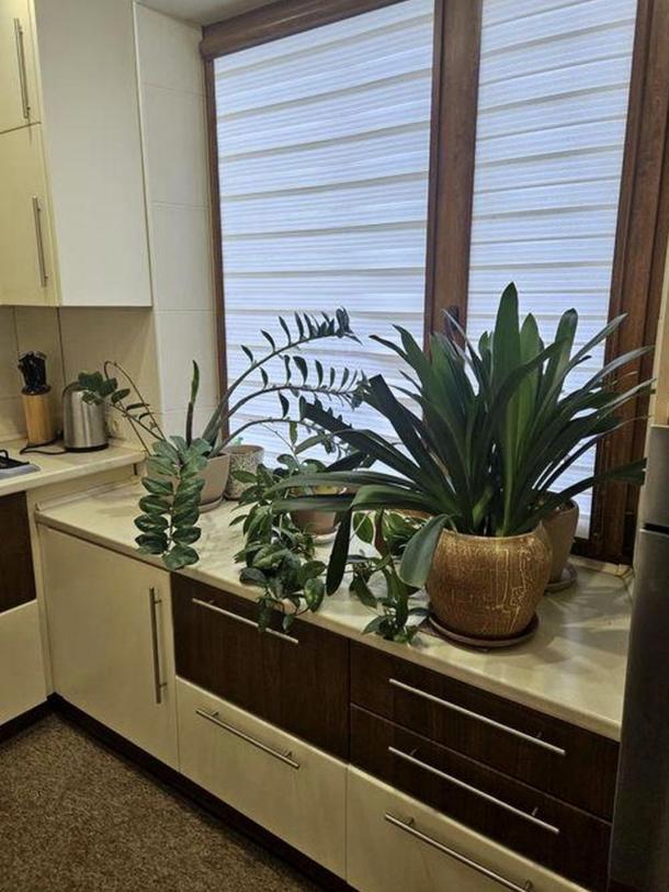 Квартира, 3-кімн., Харьков, 522м/р, Академика Павлова