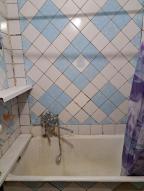 квартира, Харьков, ОДЕССКАЯ, Байрона пр. (Героев Сталинграда пр.)