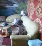 квартира, Харьков, Салтовка, Бучмы