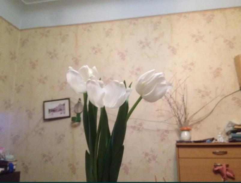 Квартира, 3-кімн., Харьков, ХТЗ, Индустриальный просп. (Фрунзе проспект)