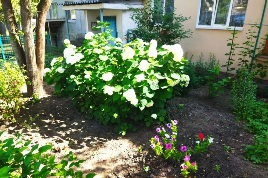 Квартира, 3-кімн., Березовское, Харьковский район, Санаторная