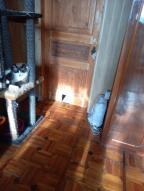 квартира, Харьков, Горизонт, Героев Харькова пр-т