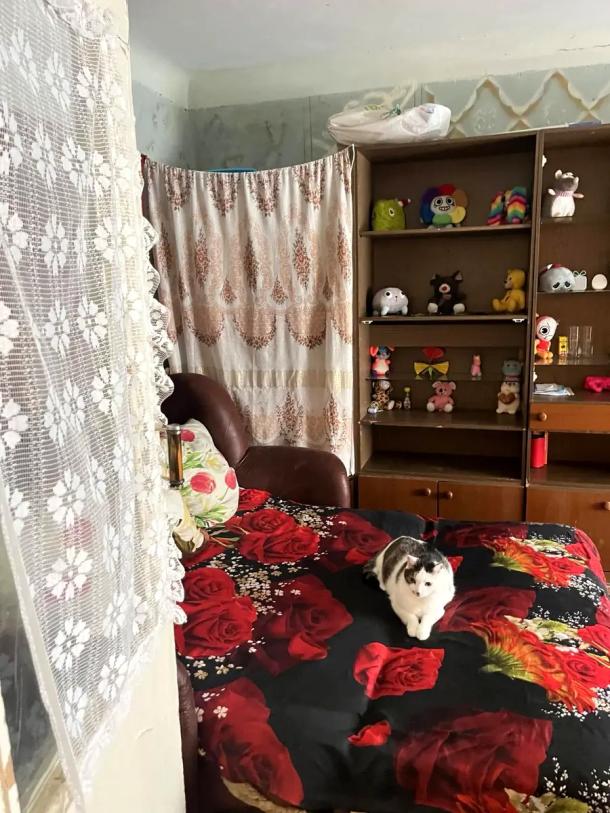 Квартира, 1-кімн., Харьков, Новые Дома, Харьковских Дивизий