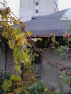 дом, Харьков, ИВАНОВКА