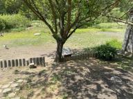 дом, Валки, Харьковская область