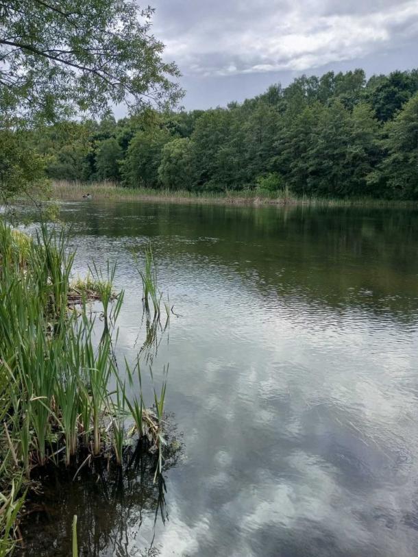 Дом, 4-кімн., Чугуев, Чугуевский район