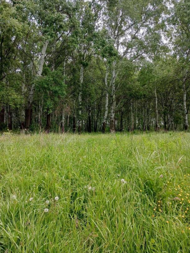 Дом, 4-кімн., Чугуев, Чугуевский район