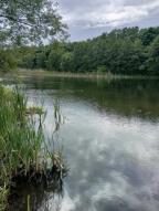 дом, Чугуев, Харьковская область