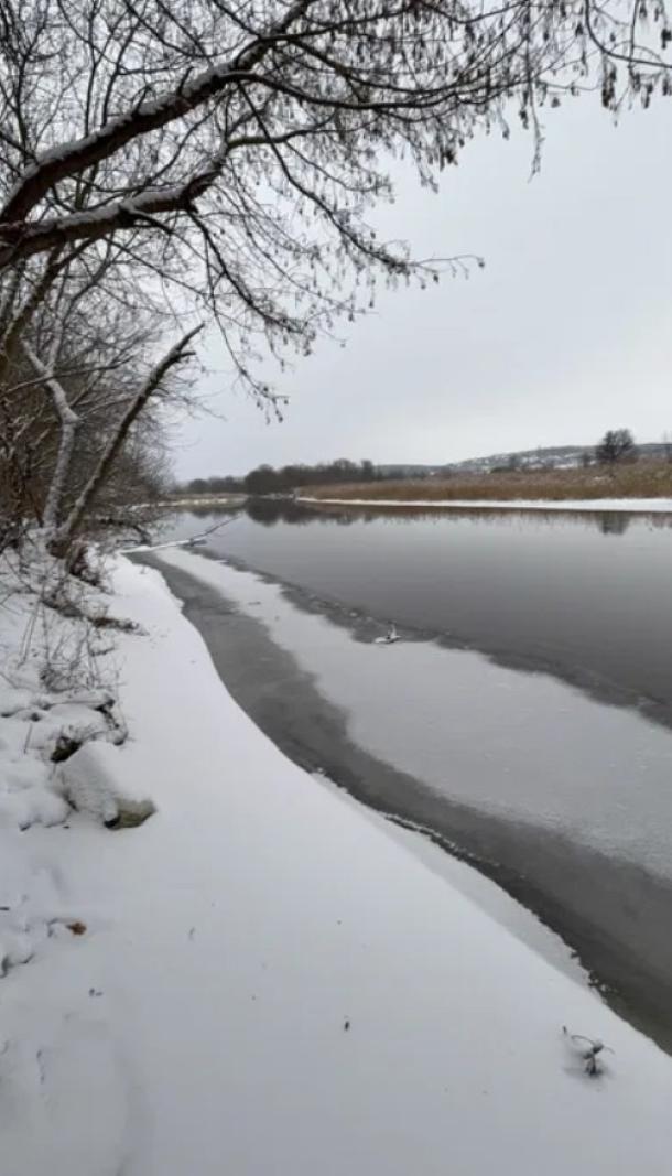 Дом, 3-кімн., Васищево, Харьковский район