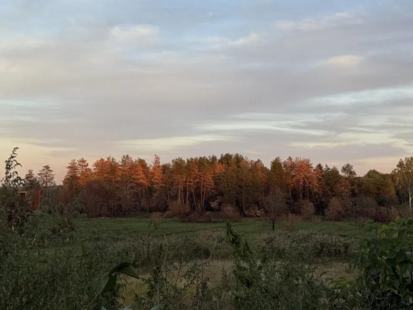 Дом, 3-кімн., Васищево, Харьковский район