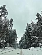 дом, Васищево, Харьковская область