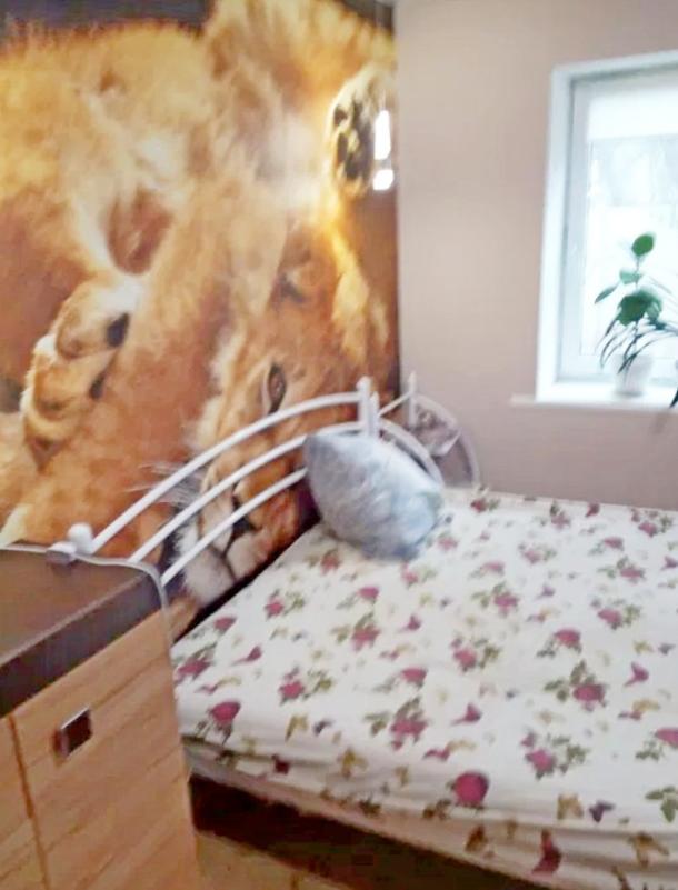 Дом, 3-кімн., Покотиловка, Харьковский район