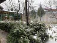 дом, Харьков, НЕМЫШЛЯ,  метро Дворец спорта (им.Маршала Жукова)