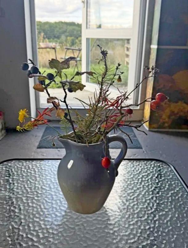 Дом, 2-кімн., Буды, Харьковский район