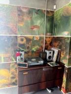 дом, Буды, Харьковская область