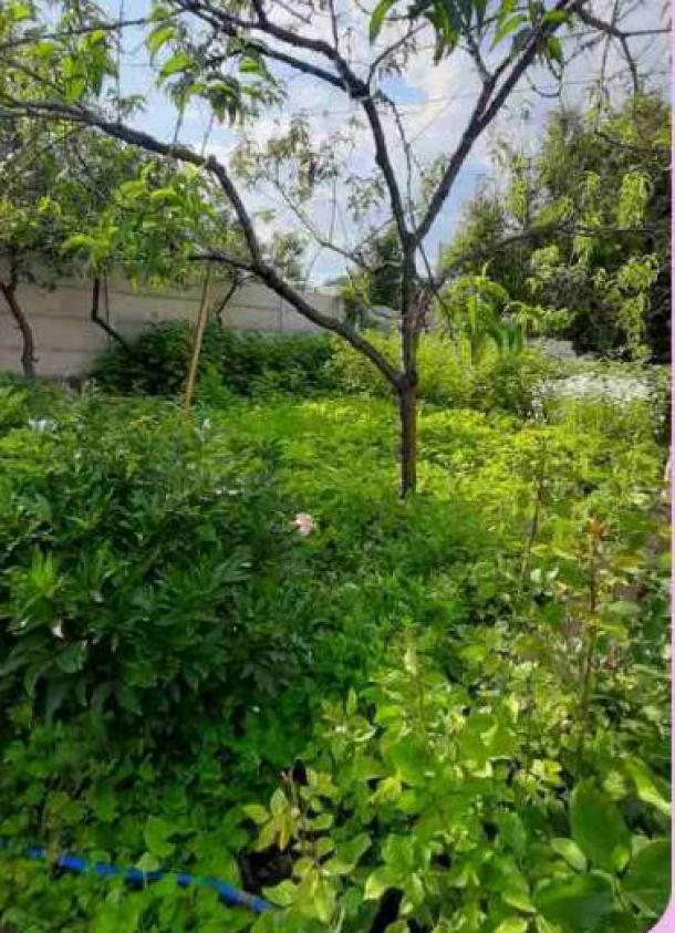 Дом, 4-кімн., Харьков, Холодная Гора