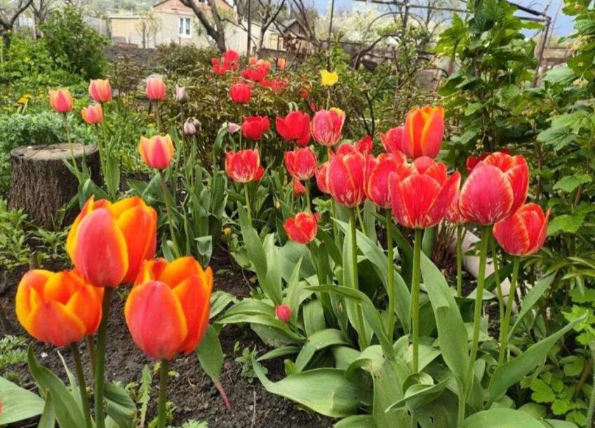 Дом, 4-кімн., Малая Рогань, Харьковский район