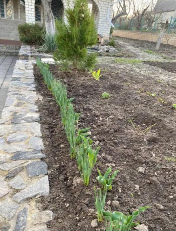 Дача, 2-кімн., Солоницевка, Харьковский район