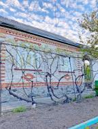 дом, Солоницевка, Харьковская область