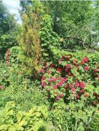 дом, Харьков, СОРТИРОВКА