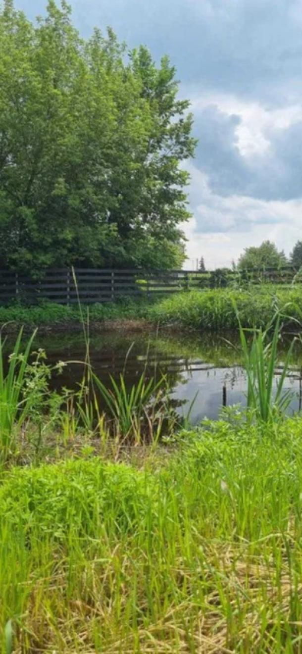 Дом, 4-кімн., Артюховка, Чугуевский район