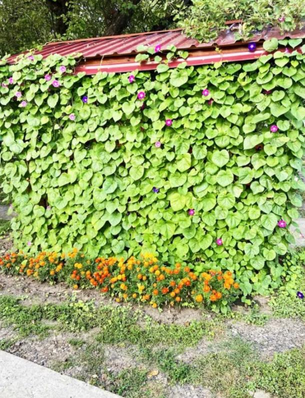 Дом, 2-кімн., Печенеги, Чугуевский район