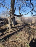 дом, Коротыч, Харьковская область