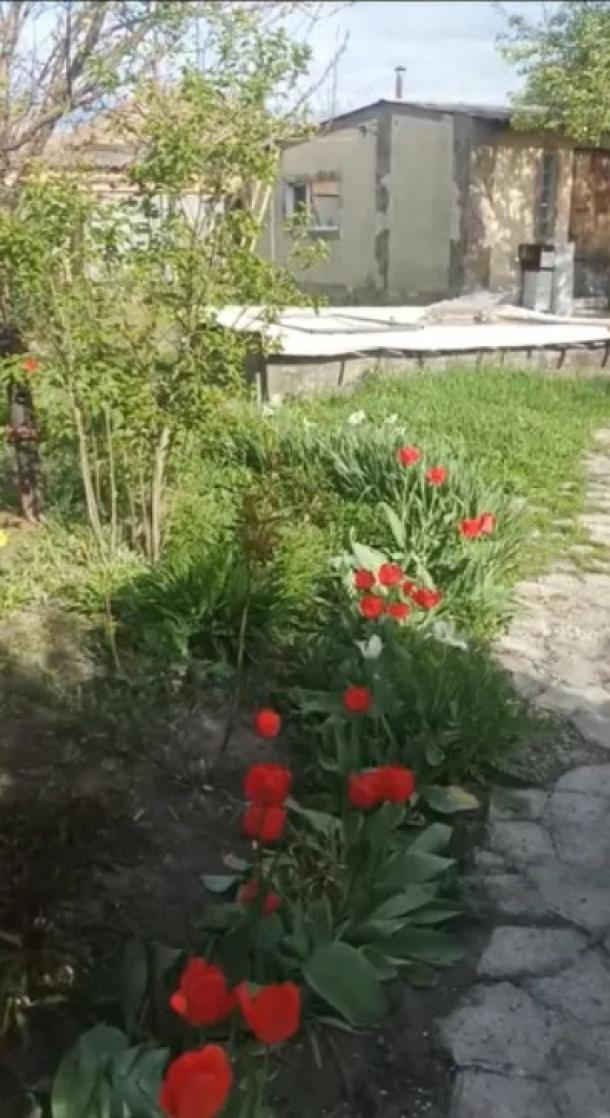 Купить дом, Терновая (Чугуев), Харьковская область