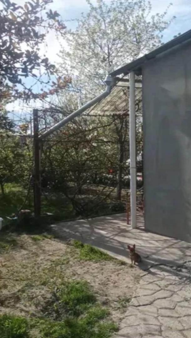 Дом, 5-кімн., Терновая (Чугуев), Чугуевский район