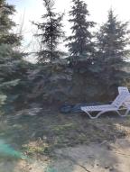 дом, Солоницевка, Харьковская область