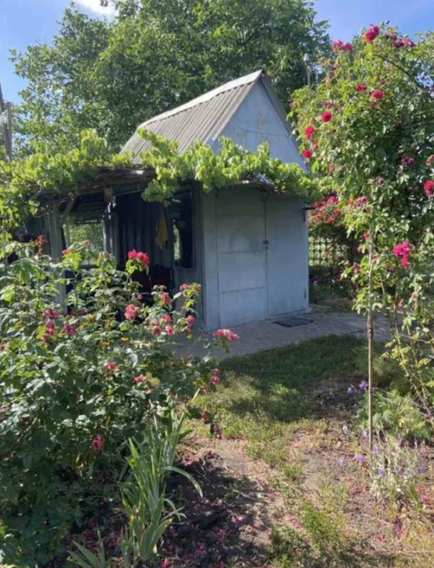 Дача, 1-кімн., Свитанок, Харьковский район