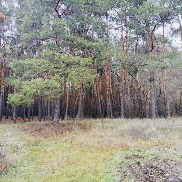 Дом, 4-кімн., Мерефа, Харьковский район