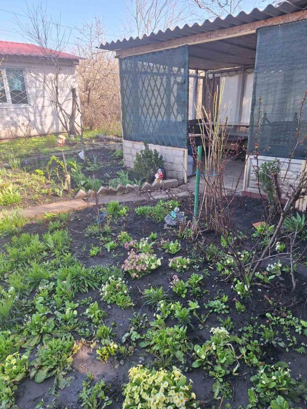 Дача, 2-кімн., Харьков, ХТЗ