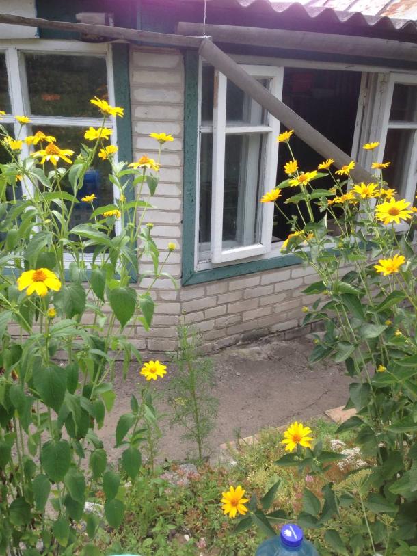 Дом, 3-кімн., Малая Даниловка, Харьковский район