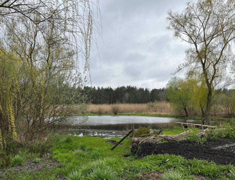 Дом, 3-кімн., Новопокровка, Чугуевский район