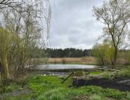 дом, Новопокровка, Харьковская область