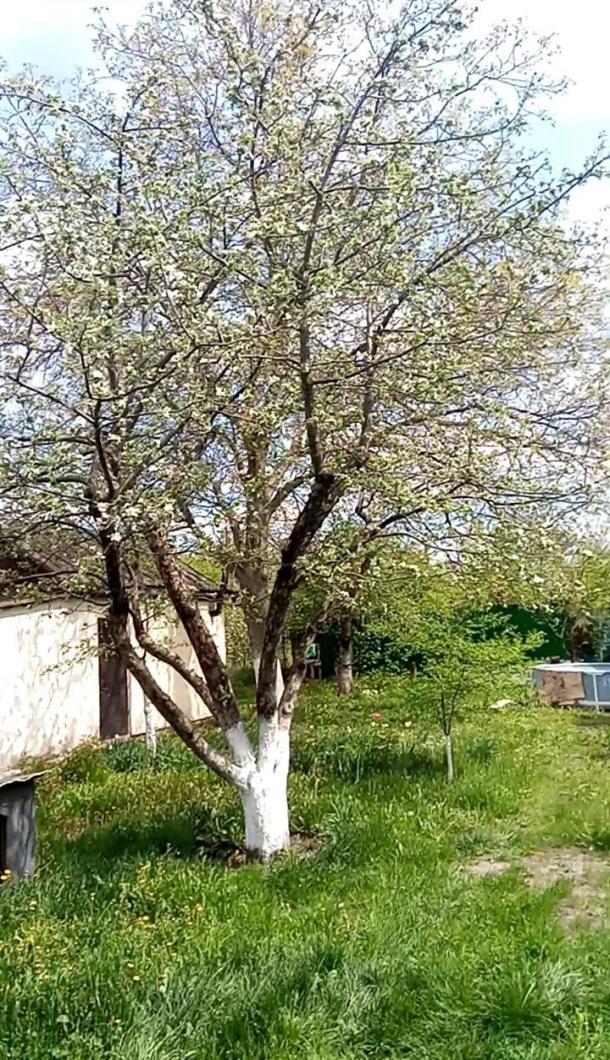 Дача, 2-кімн., Харьков, Новые Дома