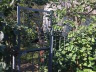 дом, Харьков, Ледное