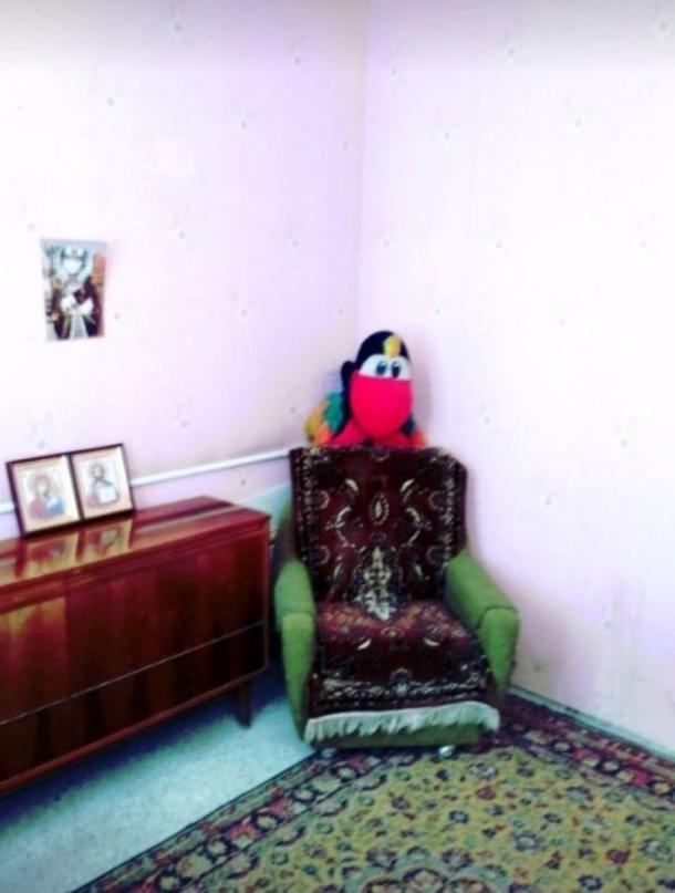 Дом, 3-кімн., Харьков, Шишковка