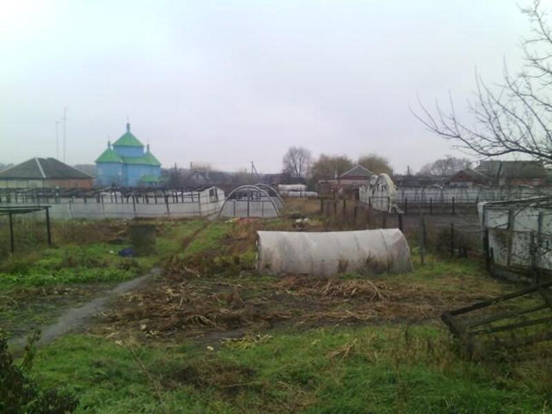 Дом, 4-кімн., Введенка, Чугуевский район