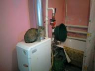 дом, Водяное (Харьк.), Харьковская область