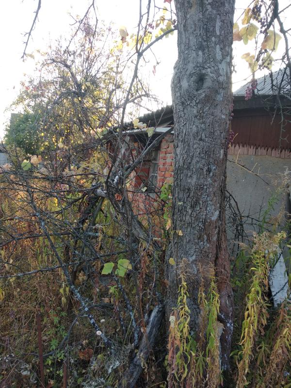 Дача, 2-кімн., Харьков, Павлово Поле