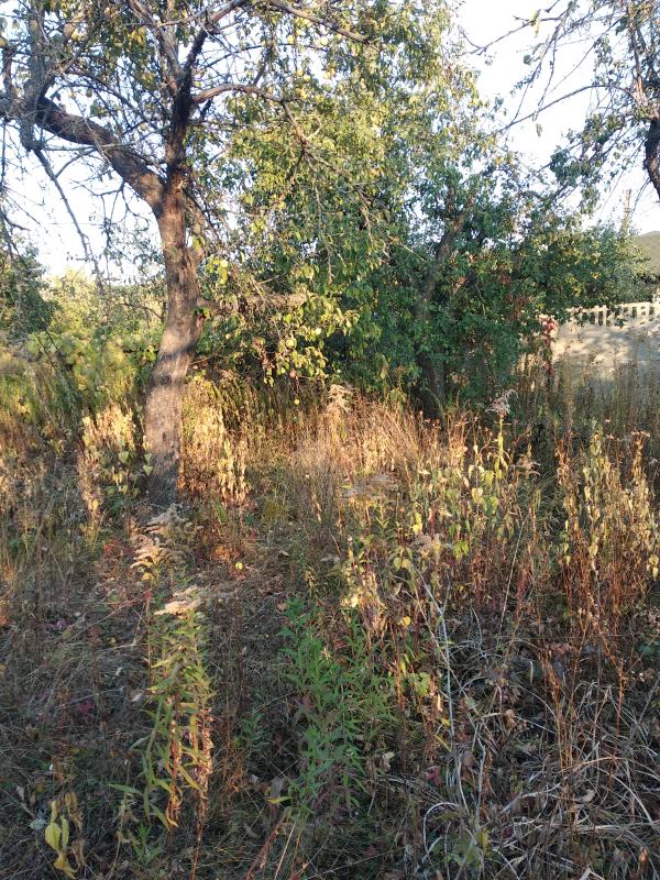 Дача, 2-кімн., Харьков, Павлово Поле